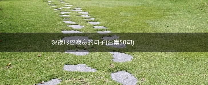 深夜形容寂寞的句子(合集50句),第1张