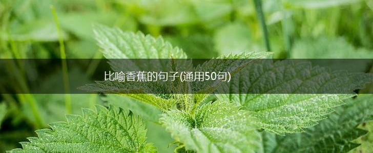 比喻香蕉的句子(通用50句),第1张
