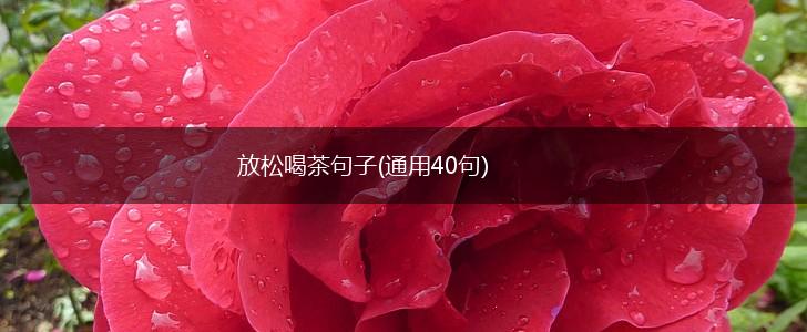 放松喝茶句子(通用40句),第1张