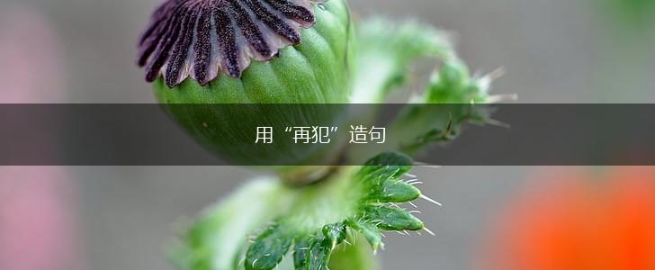 用“再犯”造句,第1张