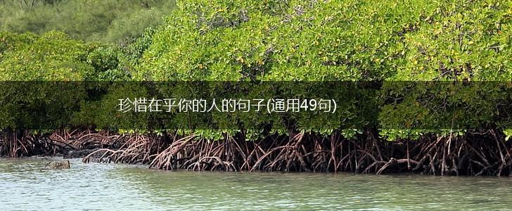 珍惜在乎你的人的句子(通用49句),第1张