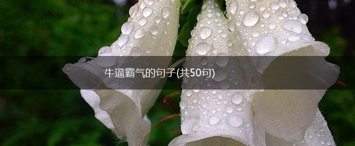 牛逼霸气的句子(共50句),第1张