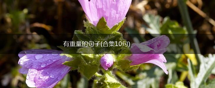 有重量的句子(合集10句),第1张