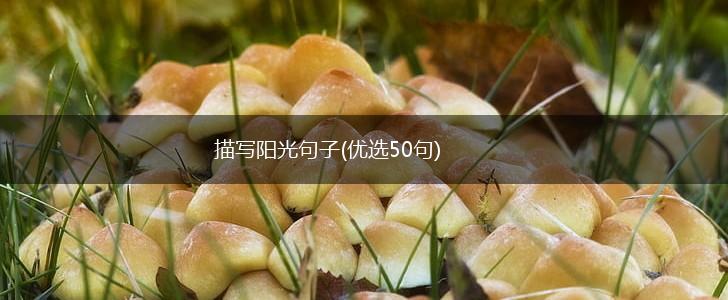 描写阳光句子(优选50句),第1张