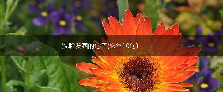 洗脸发圈的句子(必备10句),第1张