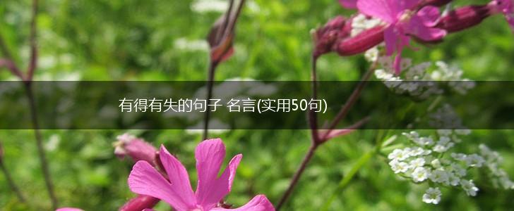 有得有失的句子 名言(实用50句),第1张