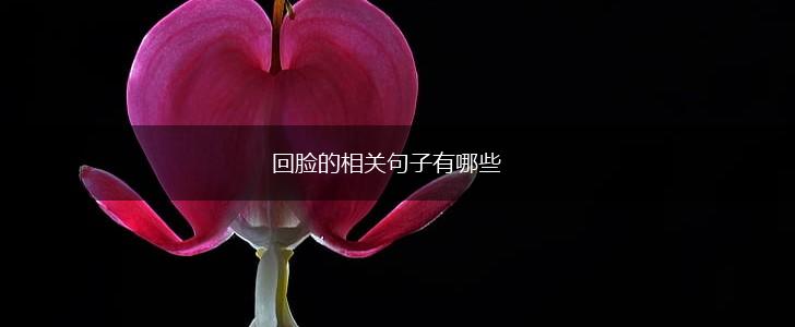 回脸的相关句子有哪些,第1张