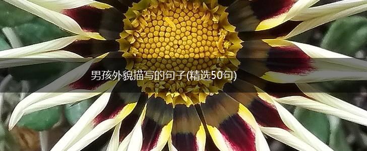 男孩外貌描写的句子(精选50句),第1张