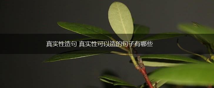 真实性造句 真实性可以造的句子有哪些,第1张