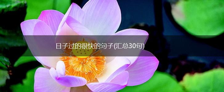 日子过的很快的句子(汇总30句),第1张