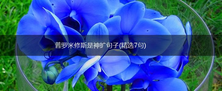 普罗米修斯是神扩句子(精选7句),第1张