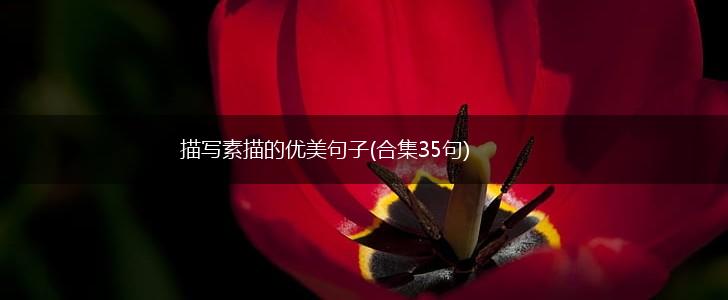 描写素描的优美句子(合集35句),第1张