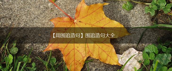 【用围追造句】围追造句大全,第1张