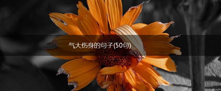气大伤身的句子(50句),第1张