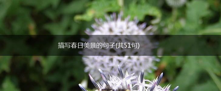 描写春日美景的句子(共51句),第1张