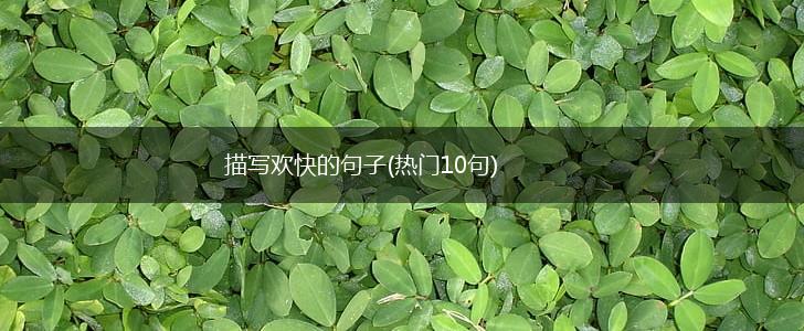 描写欢快的句子(热门10句),第1张