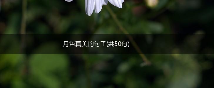 月色真美的句子(共50句),第1张