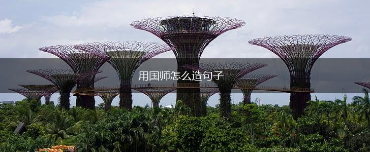 用国师怎么造句子,第1张