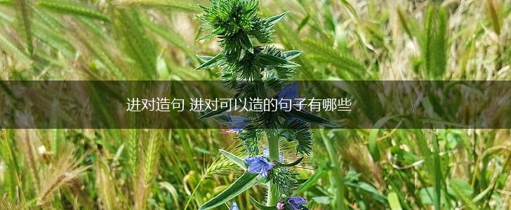 进对造句 进对可以造的句子有哪些,第1张
