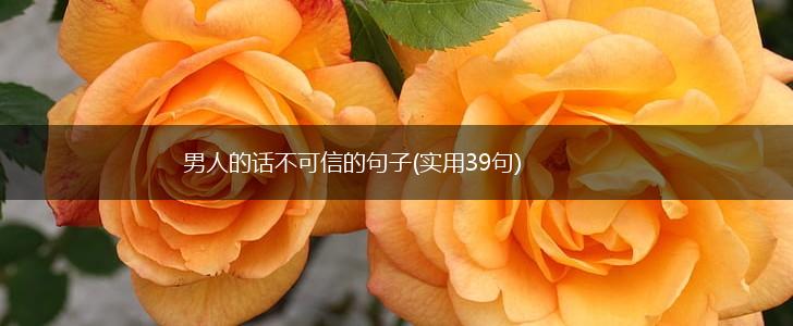男人的话不可信的句子(实用39句),第1张