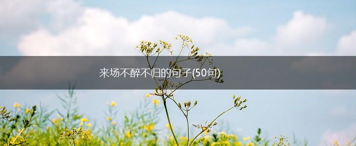 来场不醉不归的句子(50句),第1张