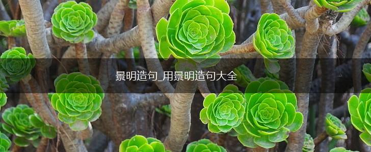 景明造句_用景明造句大全,第1张