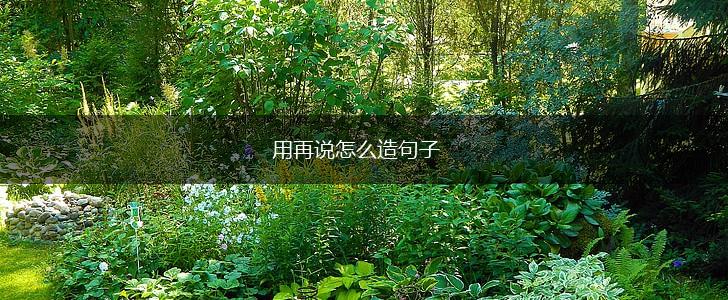 用再说怎么造句子,第1张