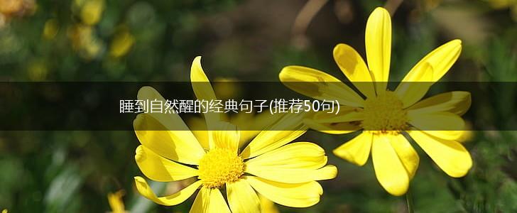 睡到自然醒的经典句子(推荐50句),第1张