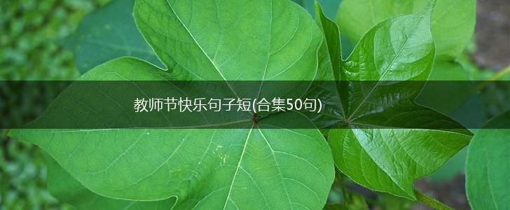 教师节快乐句子短(合集50句),第1张