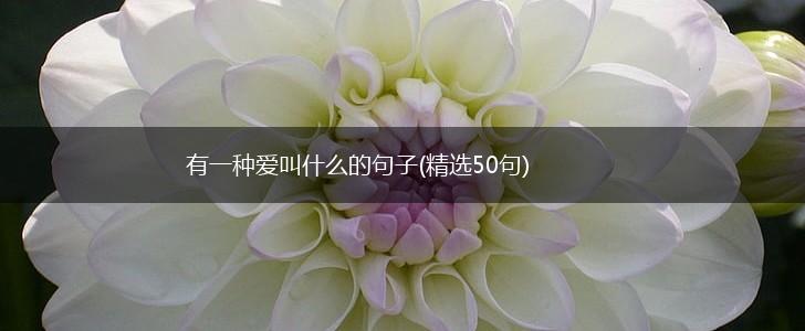 有一种爱叫什么的句子(精选50句),第1张