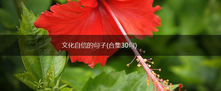 文化自信的句子(合集30句),第1张