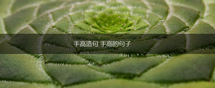 手高造句 手高的句子,第1张
