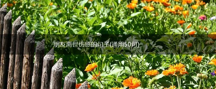 朋友离世伤感的句子(通用50句),第1张