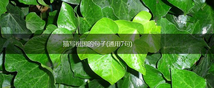 描写祖国的句子(通用7句),第1张
