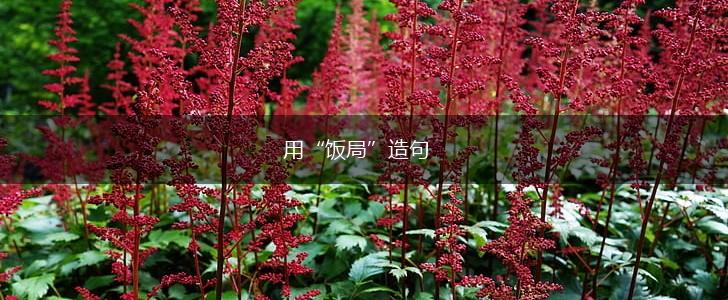 用“饭局”造句,第1张
