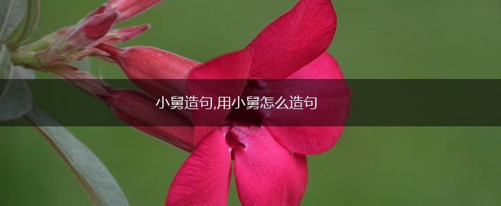 小舅造句,用小舅怎么造句,第1张