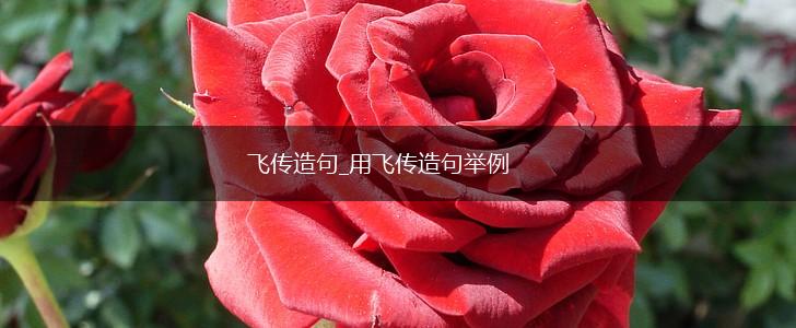 飞传造句_用飞传造句举例,第1张