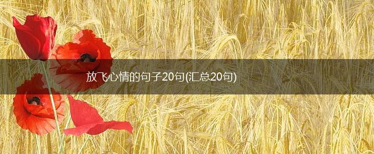 放飞心情的句子20句(汇总20句),第1张