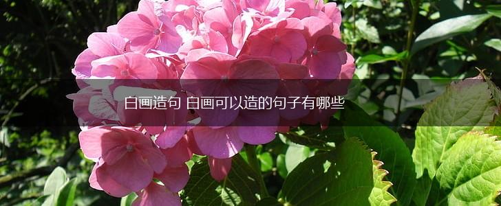 白画造句 白画可以造的句子有哪些,第1张