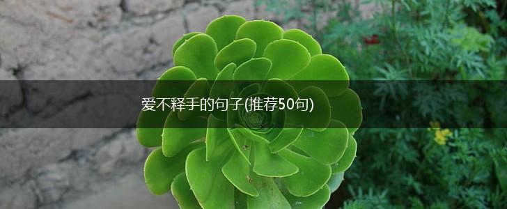 爱不释手的句子(推荐50句),第1张