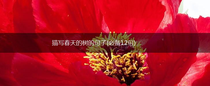 描写春天的树的句子(必备12句),第1张