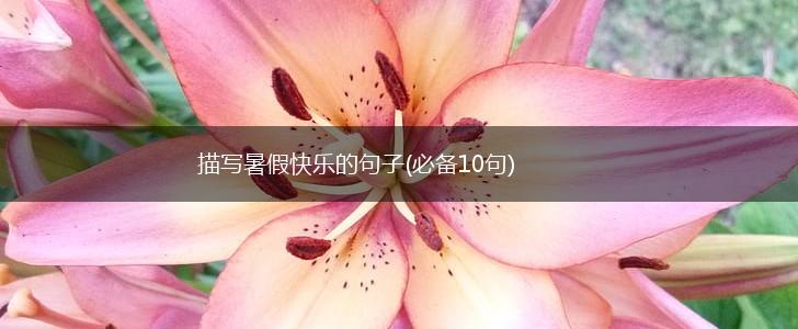 描写暑假快乐的句子(必备10句),第1张