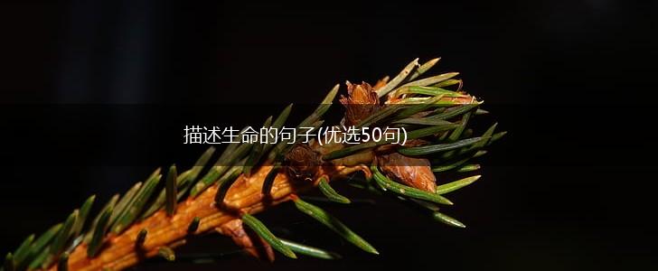 描述生命的句子(优选50句),第1张