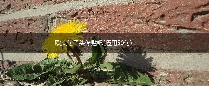 欧美句子头像贴吧(通用50句),第1张