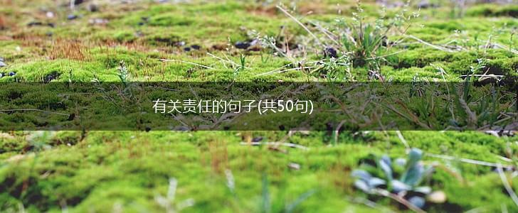 有关责任的句子(共50句),第1张