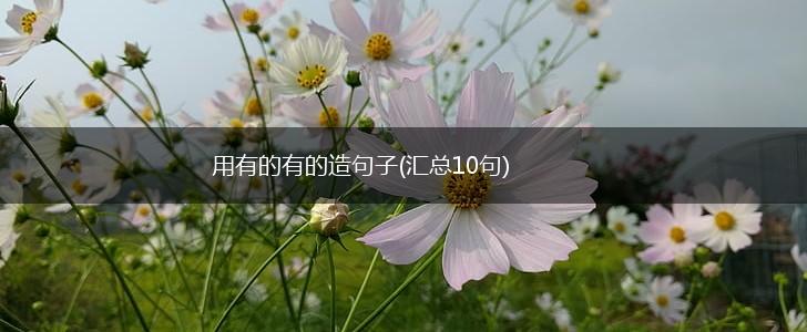 用有的有的造句子(汇总10句),第1张