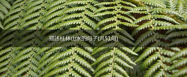 描述桂林山水的句子(共51句),第1张