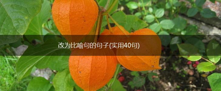 改为比喻句的句子(实用40句),第1张