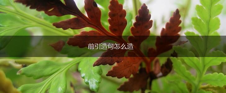 前引造句怎么造,第1张