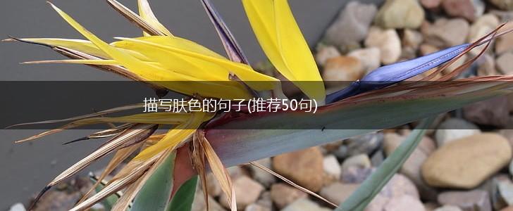 描写肤色的句子(推荐50句),第1张